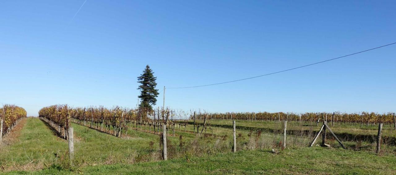 Le Clos De La Chataignere Villa Verac Exterior photo